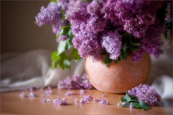 Сиреневое настроение