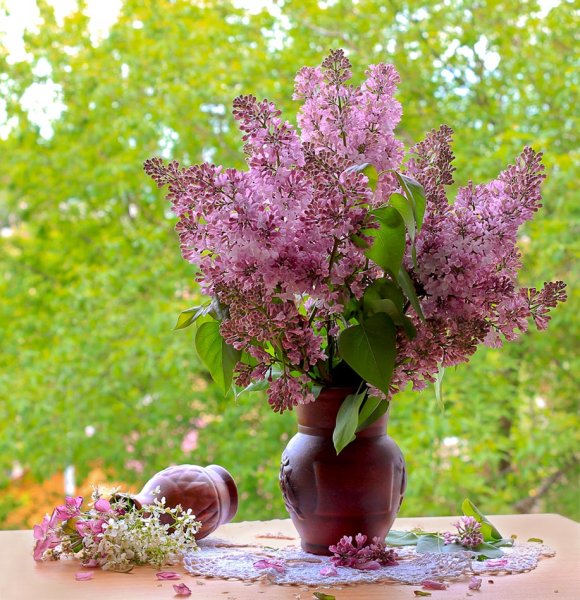 Сирень букет в саду