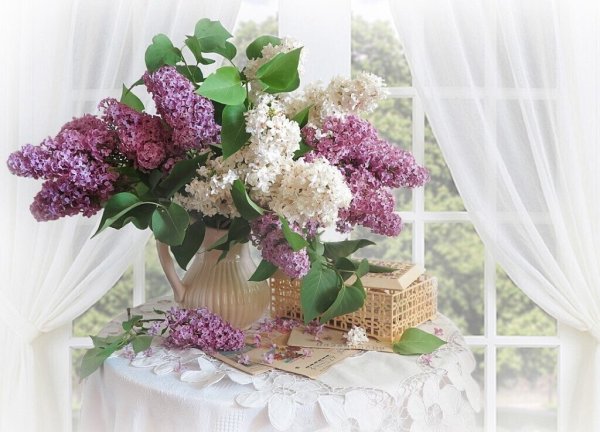 Сирень в лучах солнца