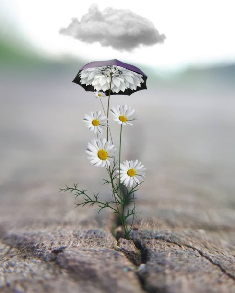 Радужный зонт дождь