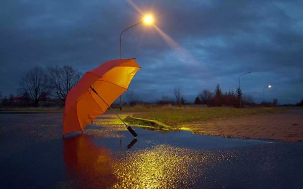 Летний дождь стихотворение