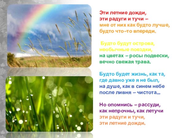 Дождливое утро в саду