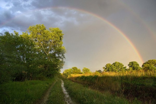 Дождик мотиватор