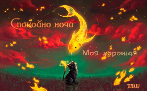 Спокойной ночи радость моя