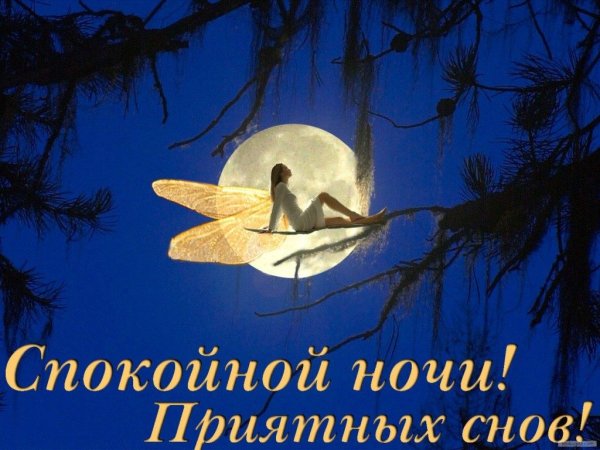 Желаю доброй ночи с природой