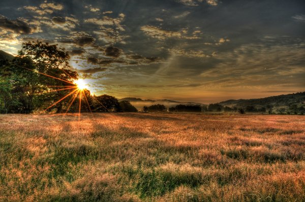 Рассвет в поле