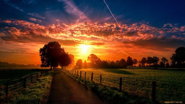 Море солнце