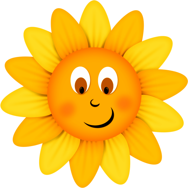 Растение на солнышке