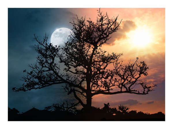 Солнышко и Луна