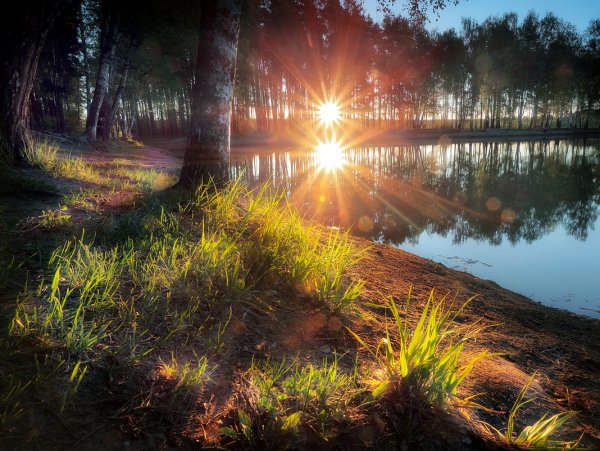 Рассвет в лесу весной