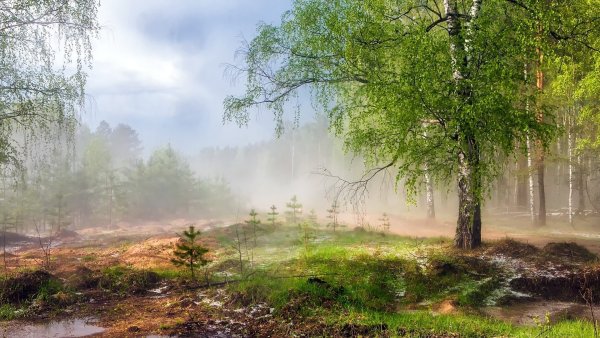 Дмитрий Архипов фотограф