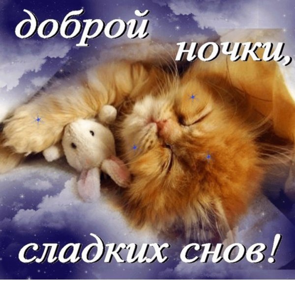 Спокойной ночи солнышко сладких снов