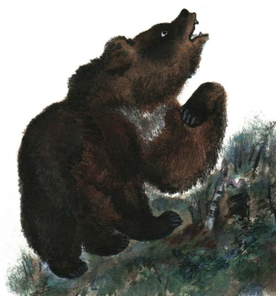 Медведь и солнце Сладков