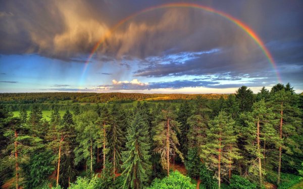 Далекая Радуга