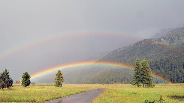 Весенний фон для презентации