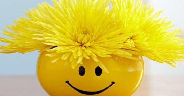 Солнца улыбок и отличного настроения