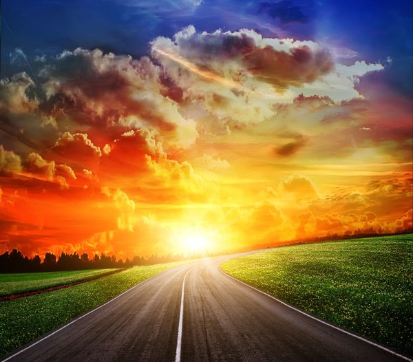 Лошадь на дороге