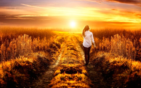 Железная дорога уходящая вдаль