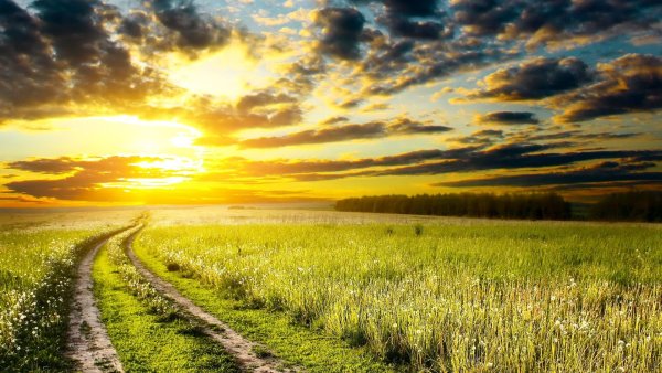 Красивый закат дорога