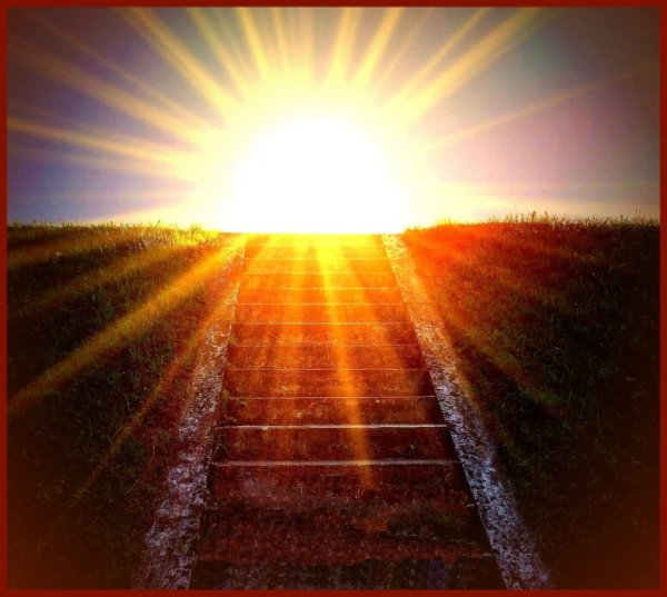 Закат в лесу