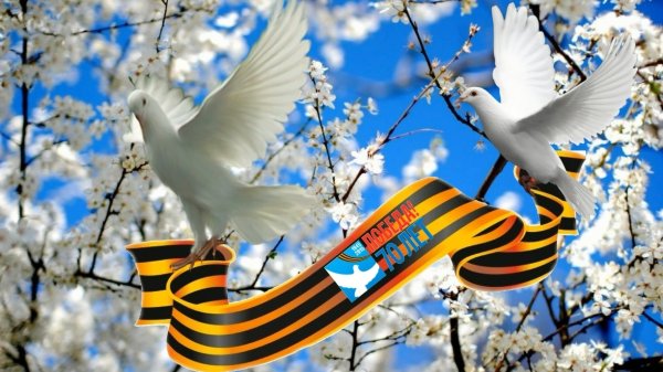 Рисование к 9 мая в саду