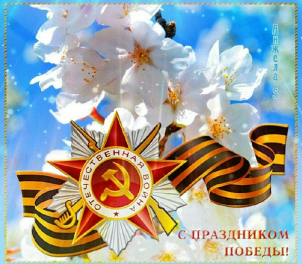 Мирного неба над головой