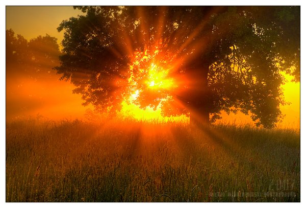 С праздником весны и днем Победы