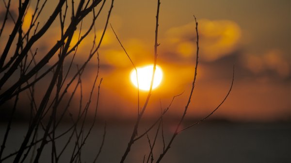 Поздравление с 9 мая