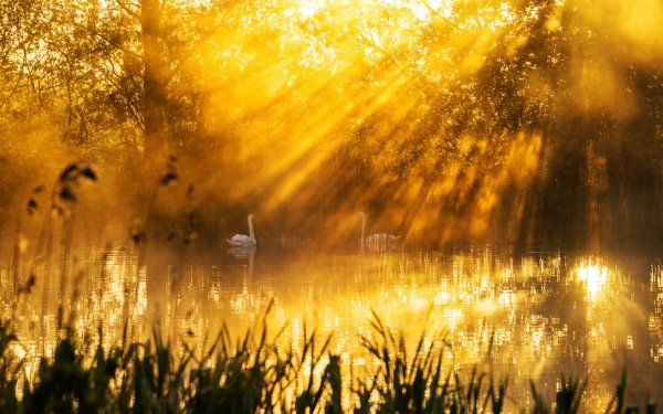 Природа солнце