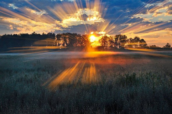 Лучи солнца