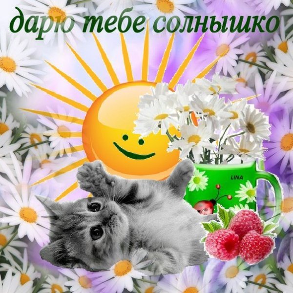 Дарю тебе солнышко