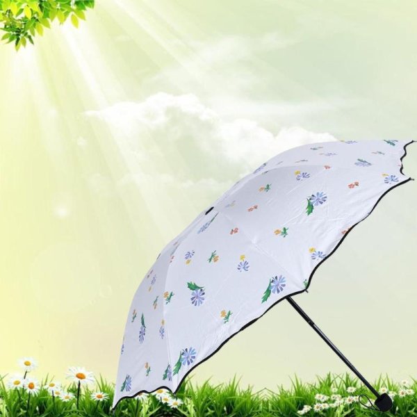 Зонт от солнца на прозрачном фоне