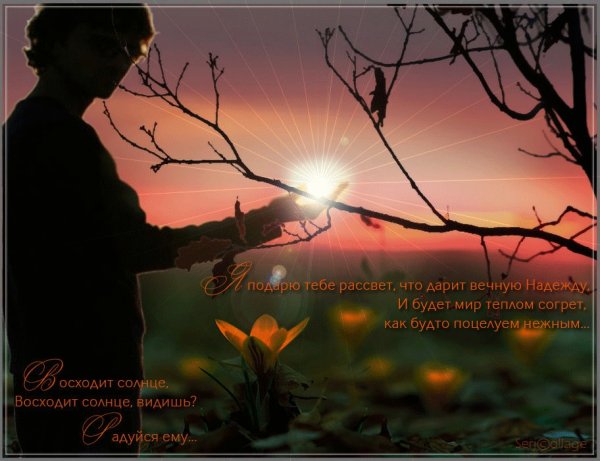 Я подарю тебе рассвет стихи