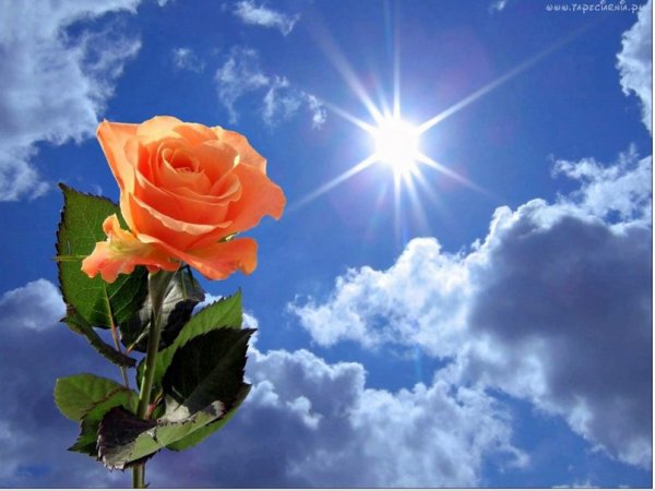 Открытка солнышко