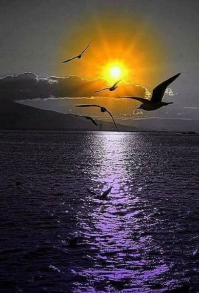 Природа вечер