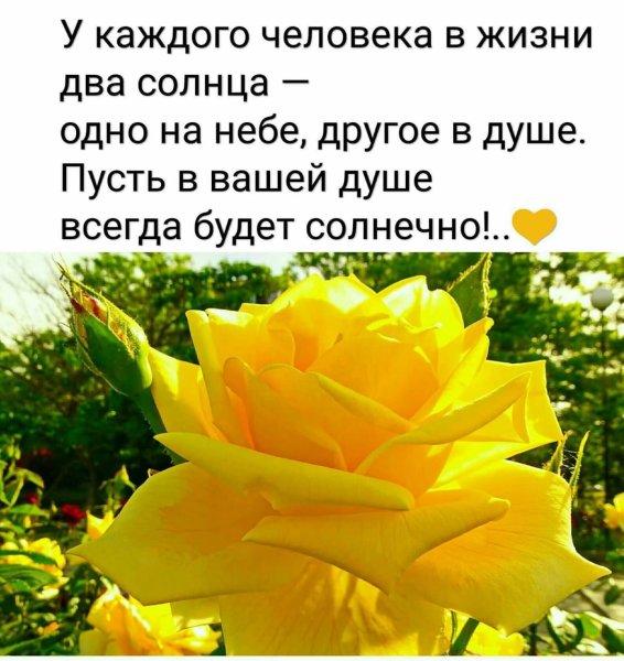 Пожелания солнышка в душе
