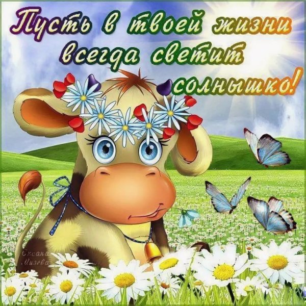 Солнышка в душе