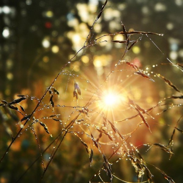 Лучи солнца