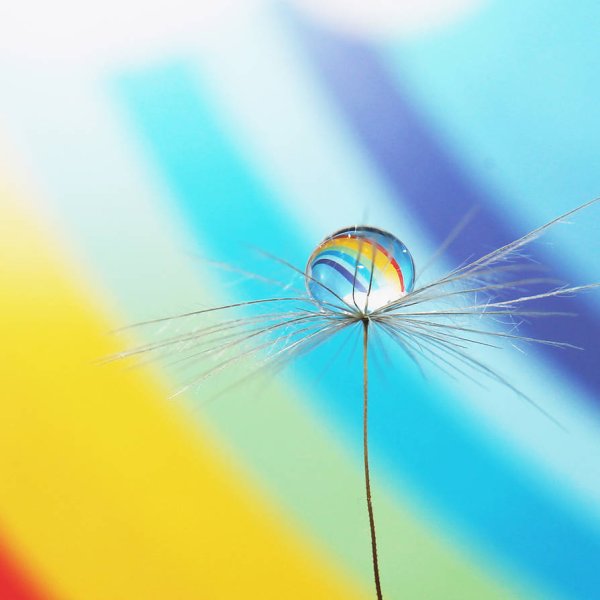 Отражение солнца в капле