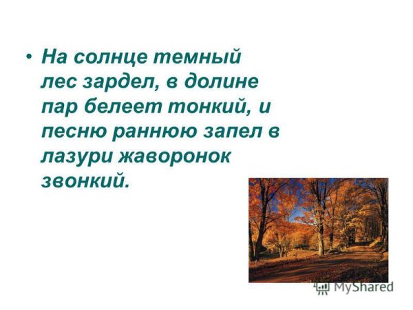 В лазури темный лес зардел