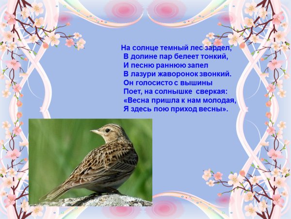 Жуковский на солнце тёмный лес зардел