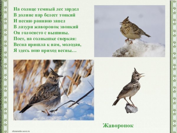 На солнце темный лес зардел в долине пар Белеет тонкий и песню раннюю