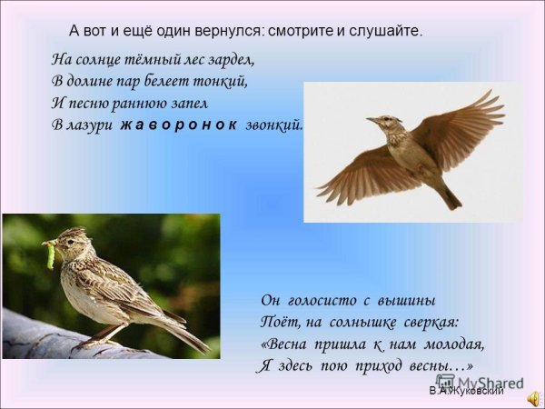 На солнце темный лес зардел