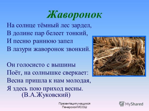 На солнце темный лес зардел в долине