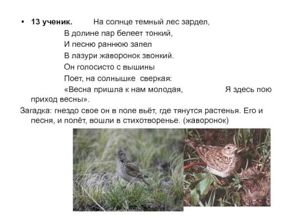 Жаворонок стих