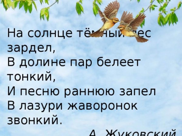 Красный закат в лесу