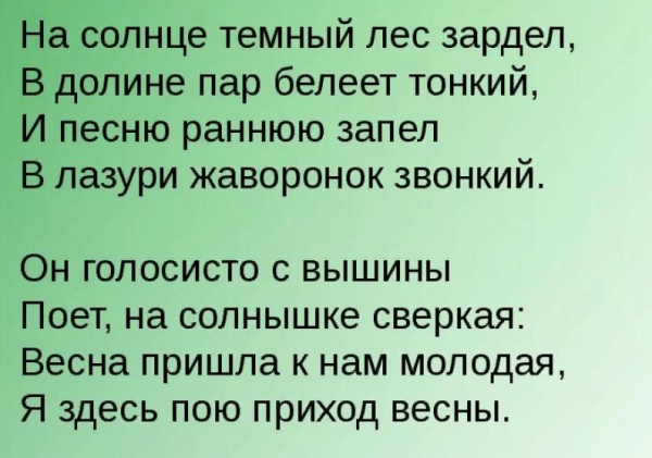 Жаворонки Жуковский