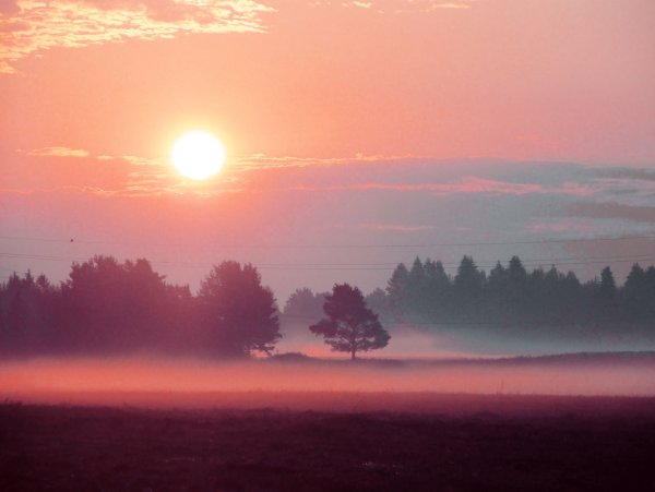 Михаил Иваненко художник