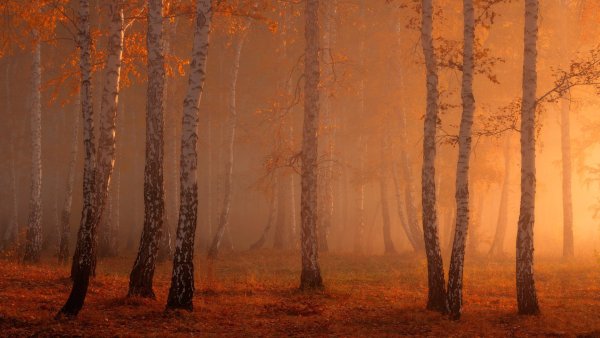 Раннее утро