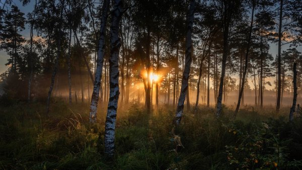 Вечернее зарево на небе